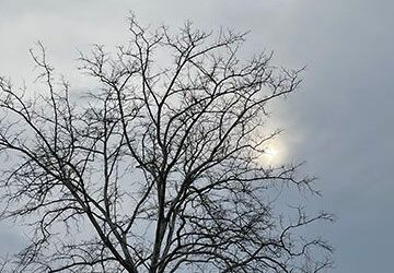 Letting Go to Enhance Your Health