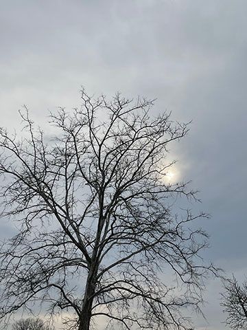 Letting Go to Enhance Your Health