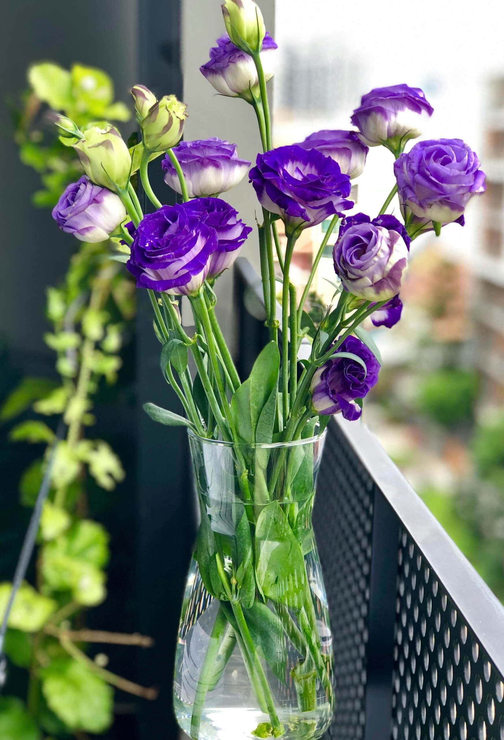 A clear glass vase with purple and white lisianthus flowers sits on a balcony railing, adding a fresh touch of spring wellness tips to your space, with blurred green plants and buildings in the background.